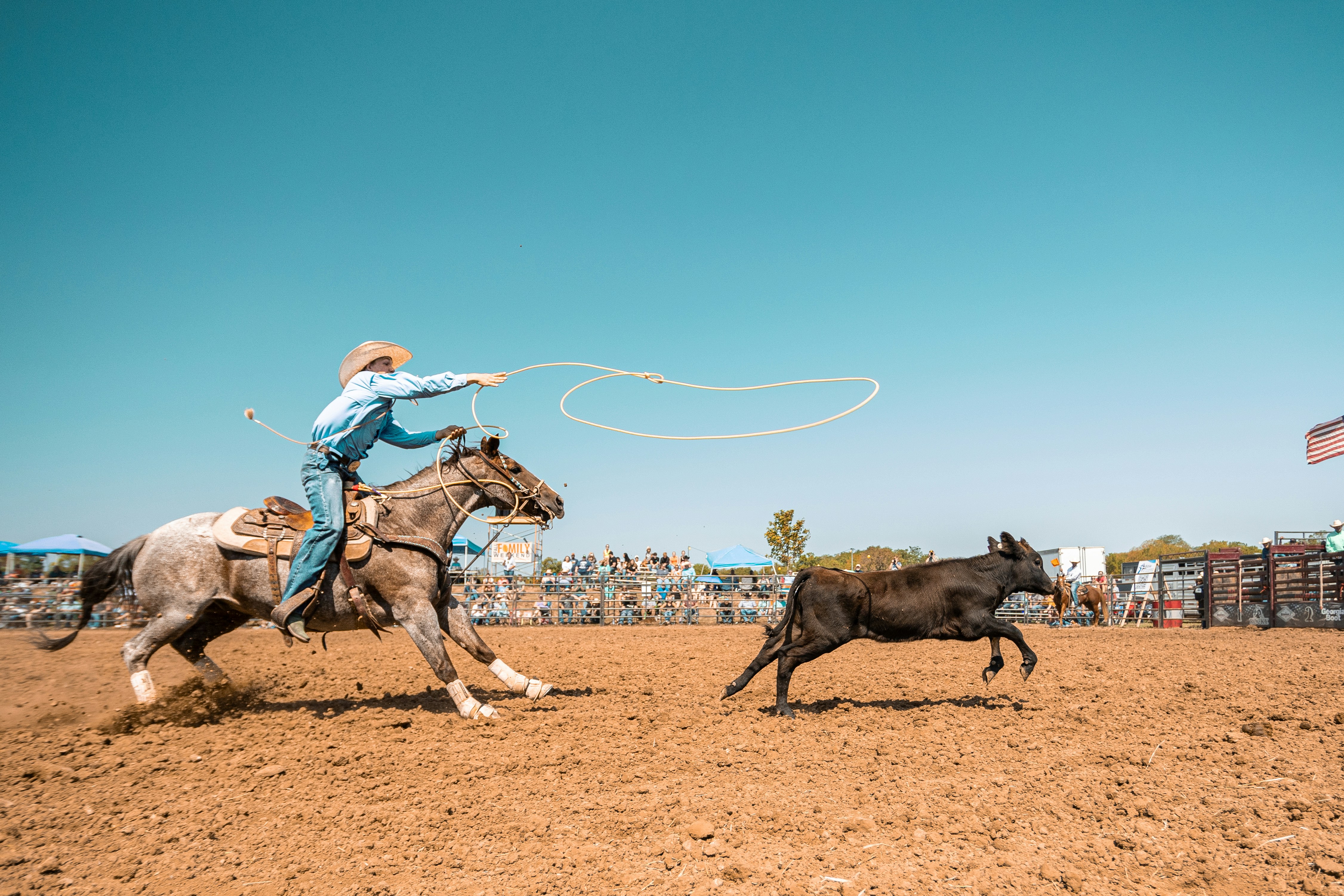 Wyoming State Fair Photo
