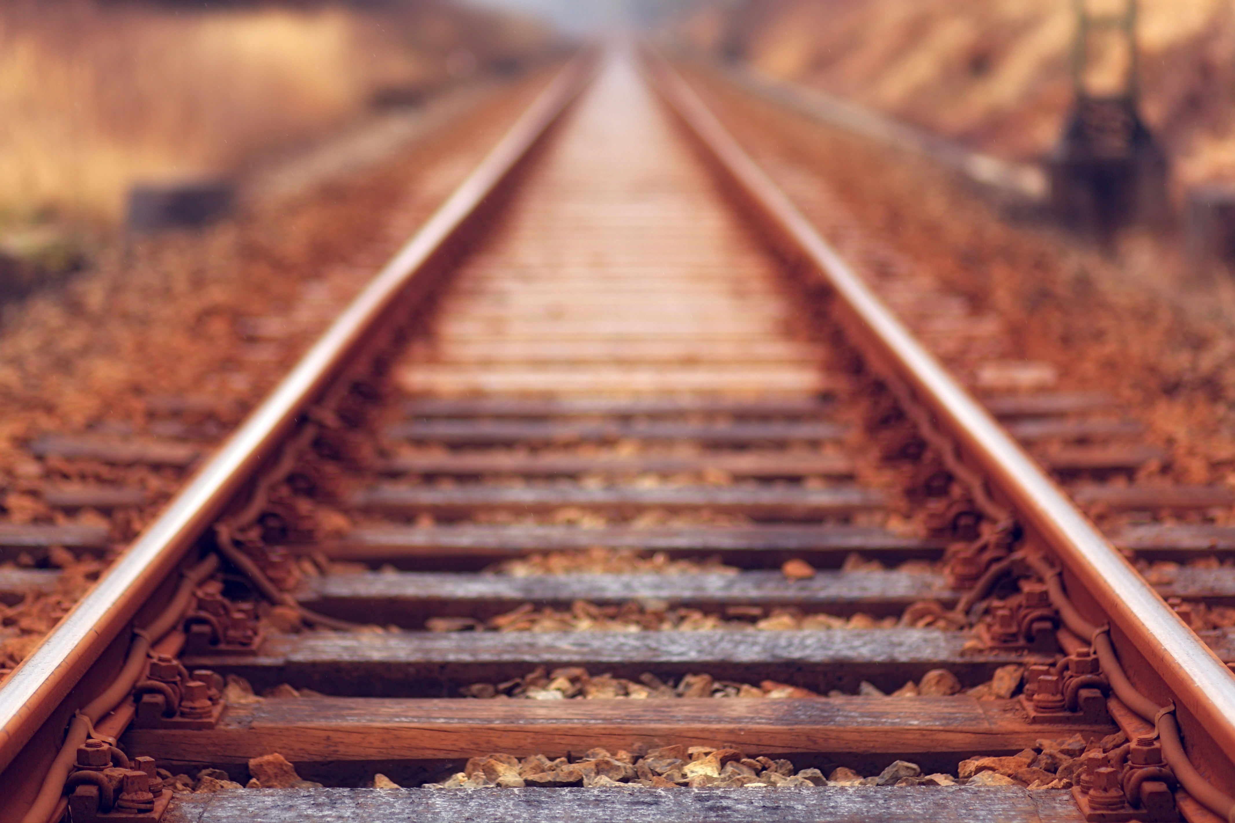Railroad Day Photo