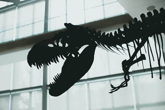 Royal Tyrrell Museum