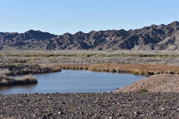 Imperial National Wildlife Refuge