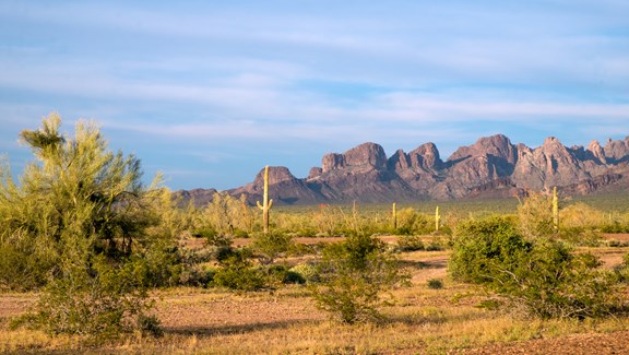Kofa National Wildlife Refuge