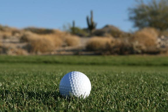 Emerald Canyon Golf Course