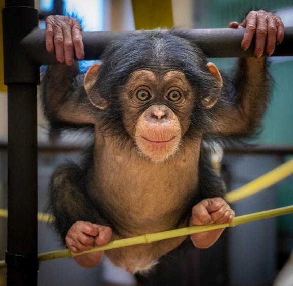 Oklahoma City Zoo
