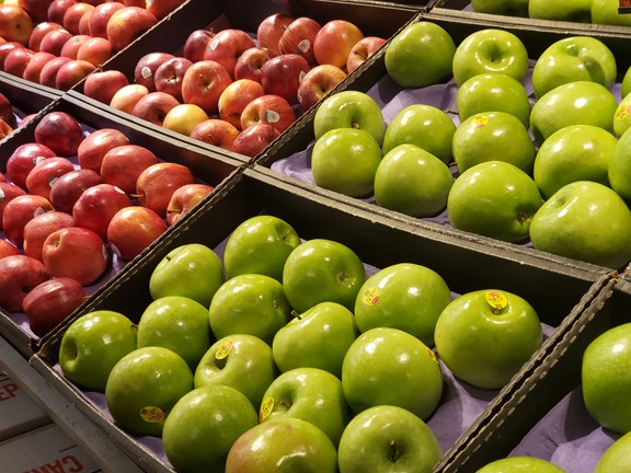 Masonic Village Farmers Market