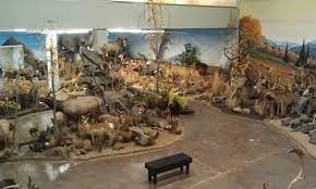 Museum