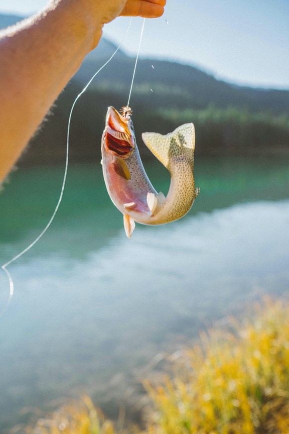 Fishing in Elko
