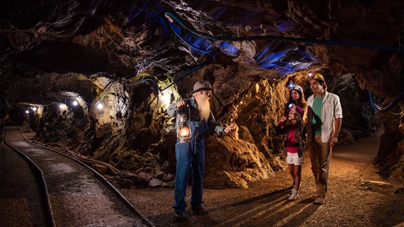 Nevada Gold Tours