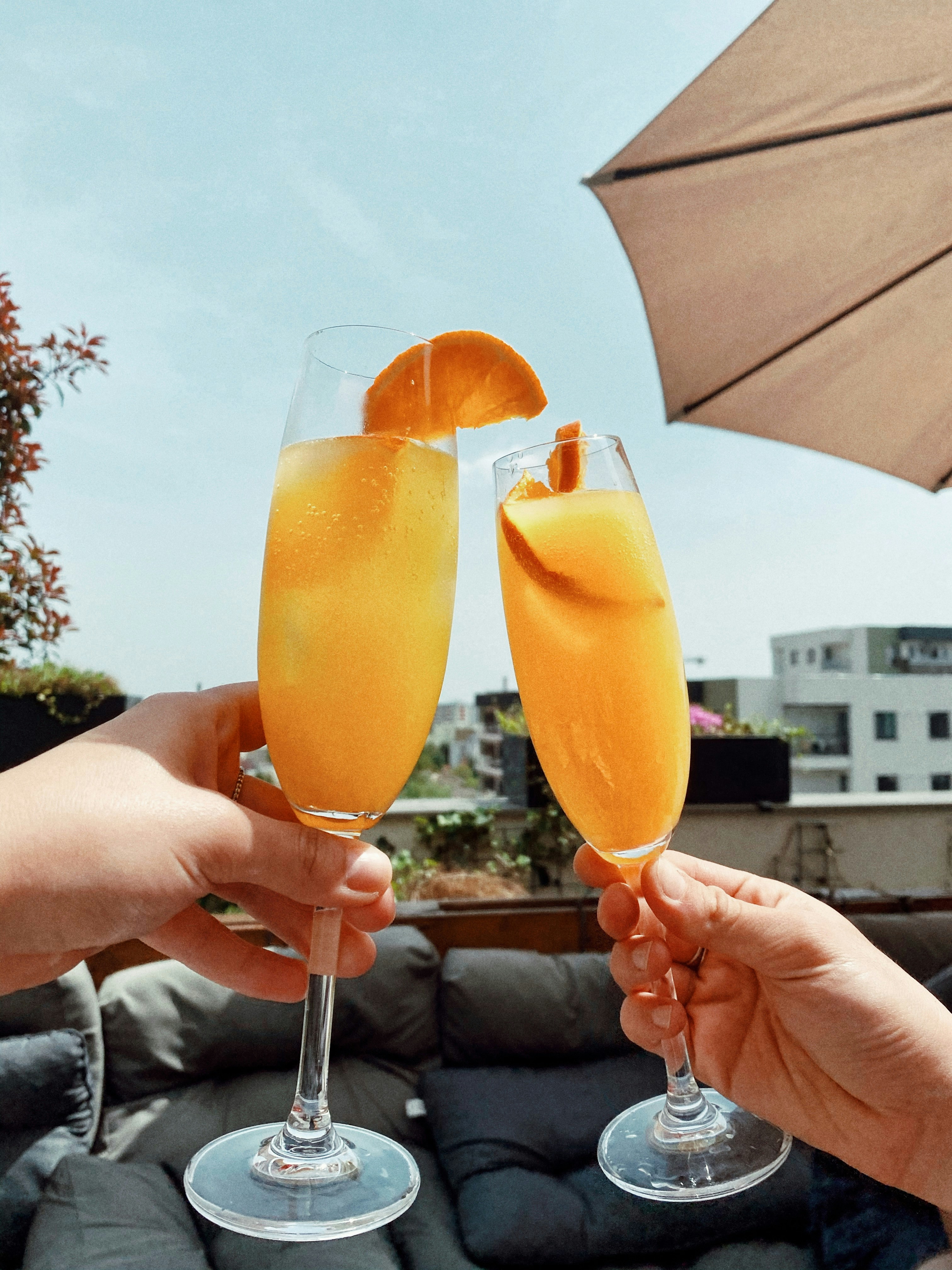 Mimosa and Beermosa (21+) Photo