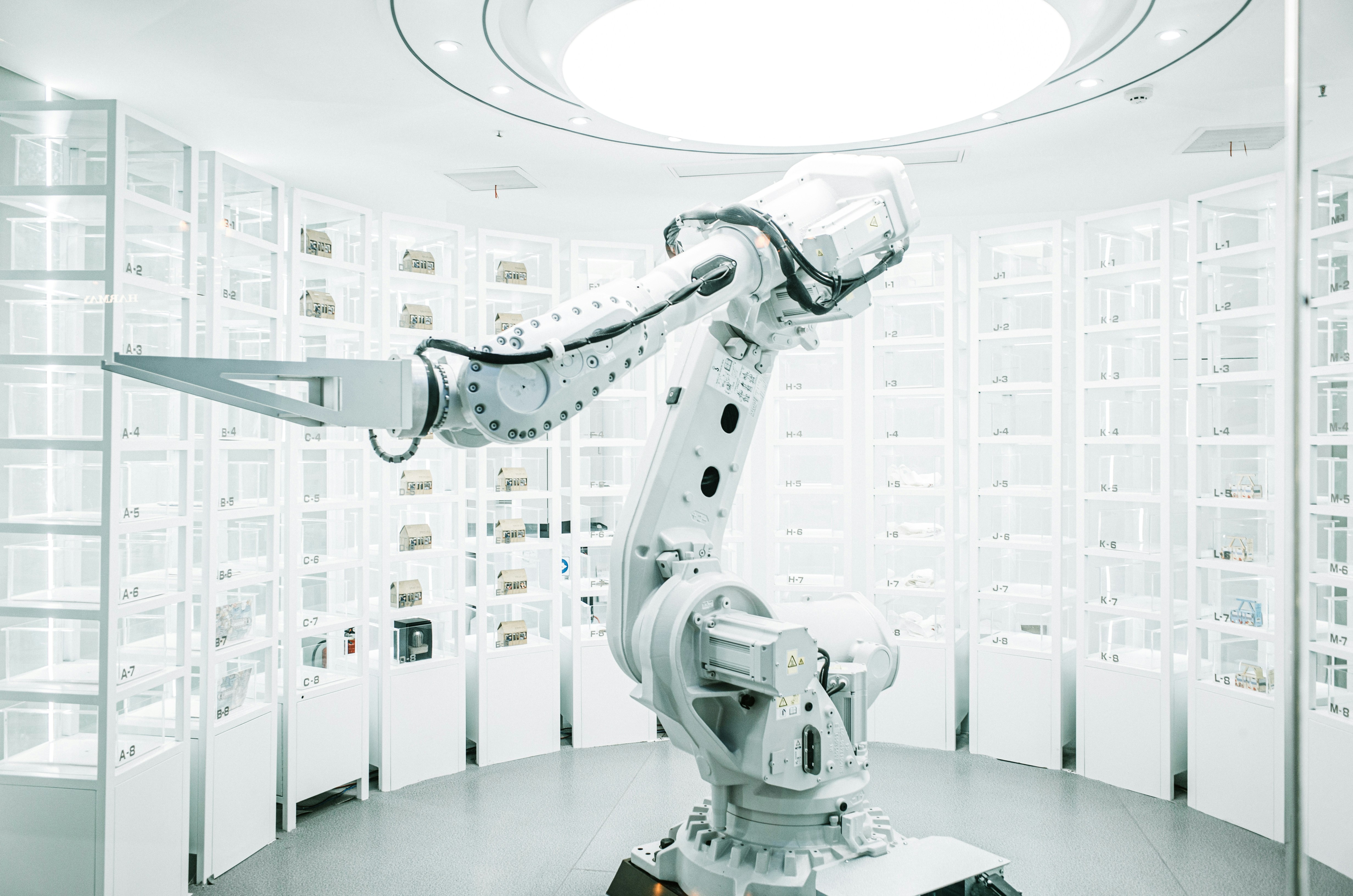 Meet the robot Photo