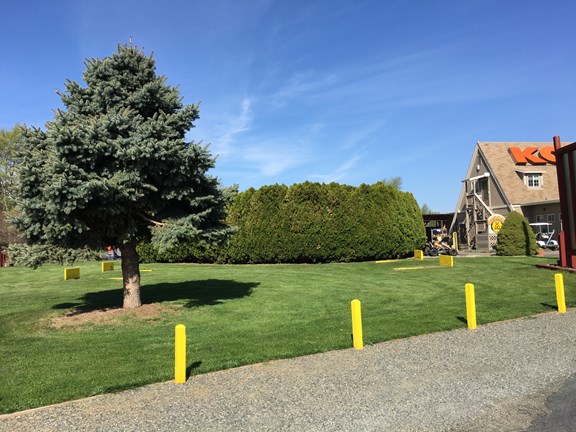 Horseshoe Pits