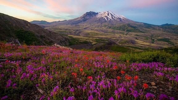 Mount St. Helens***Monte Santa Helena