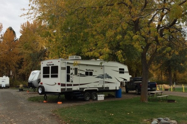5th wheel and trees