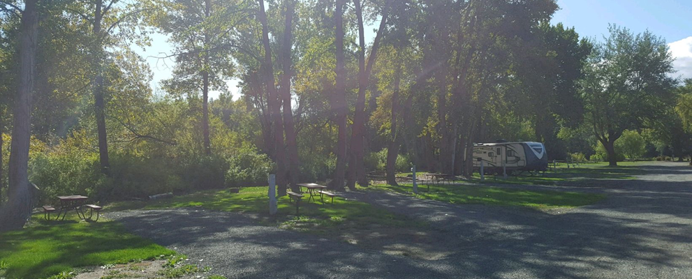 KOA WOODS RV SITE BACKIN 50 AND 30 AMP WATER ELECTRIC PIC 1