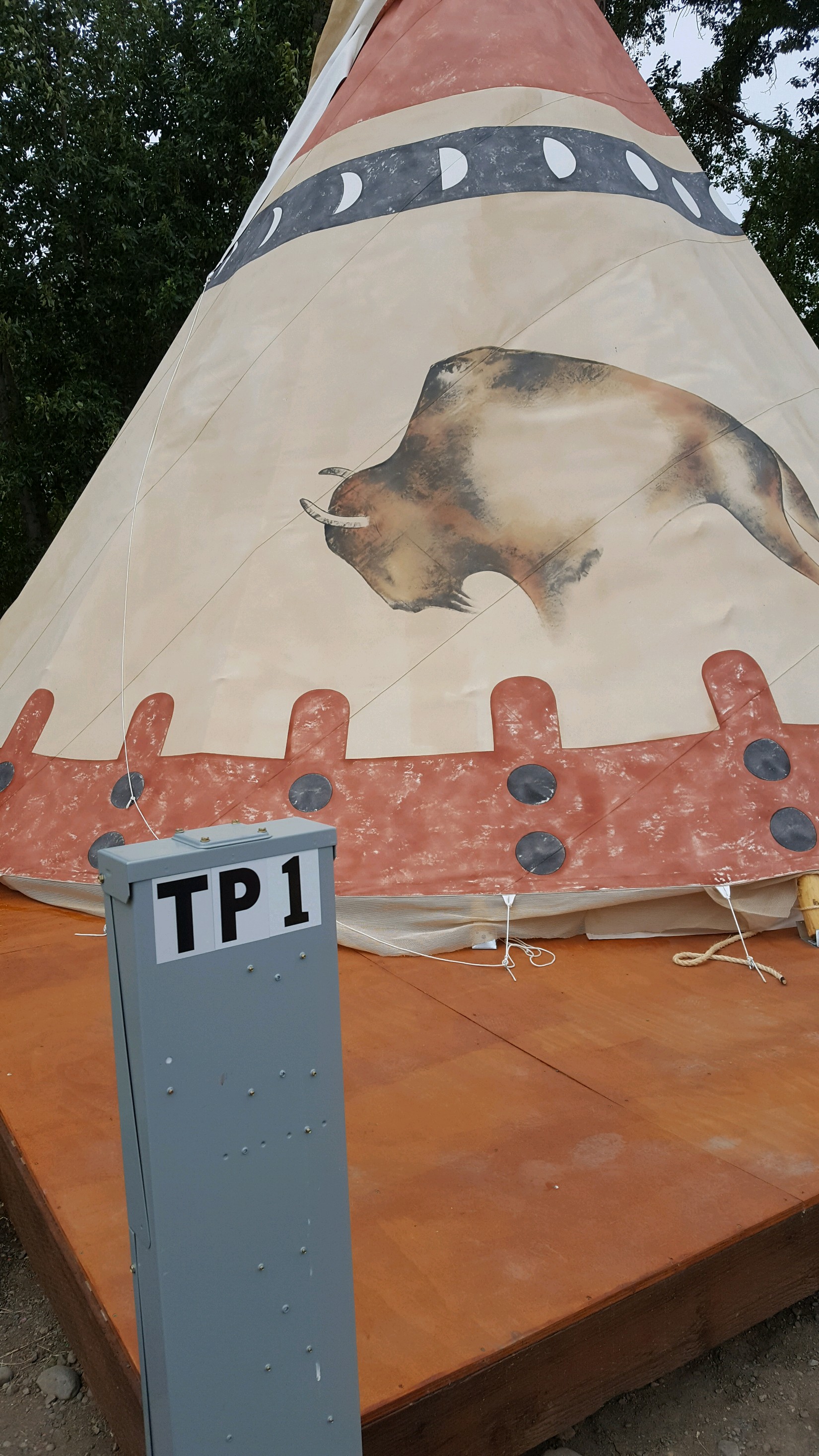 TP1 (Tipi 1) Bison
