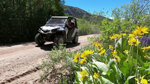 OHV / UTV / ATV / dirt bike trails galore