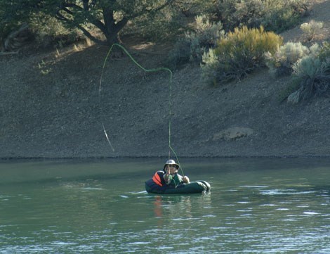 Year-Round Fishing
