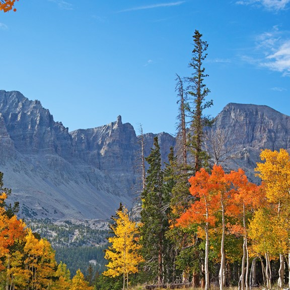 Great Basin National Park