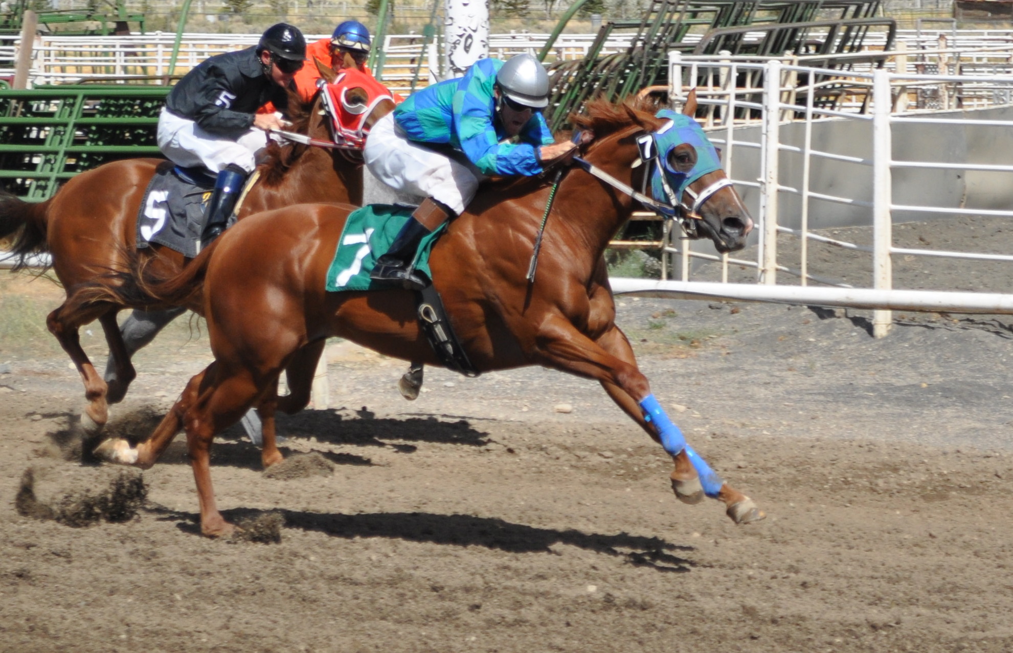 White Pine County Horse Races Photo