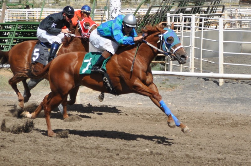 White Pine County Fair Photo