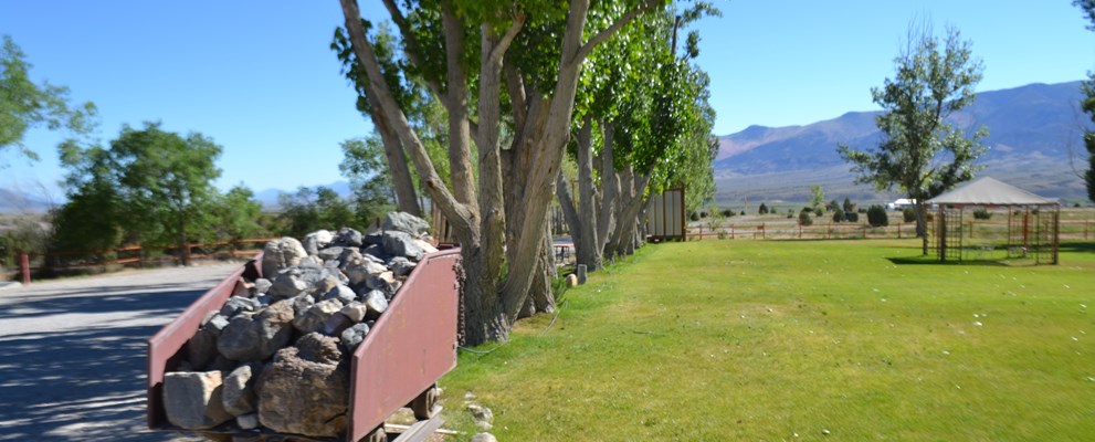 Deluxe Tent Sites