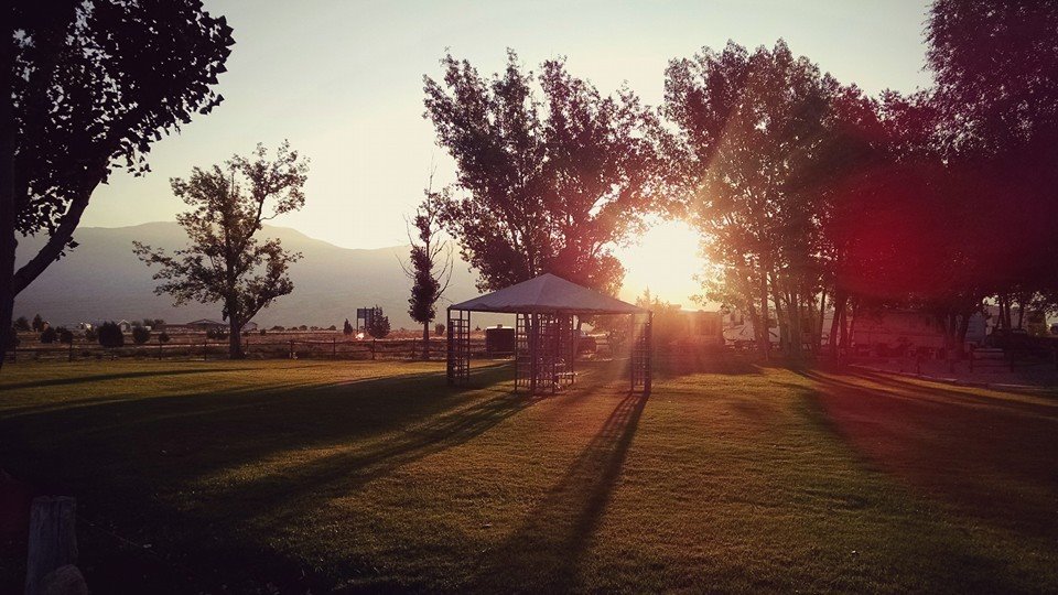 Deluxe tent area at sunrise