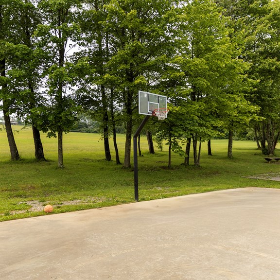 Basketball Court