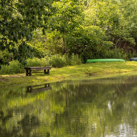 Fishing Pond