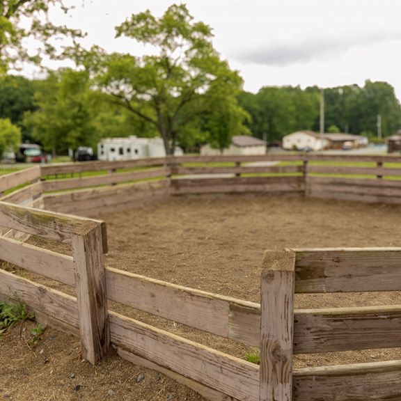 Gaga Ball Pit