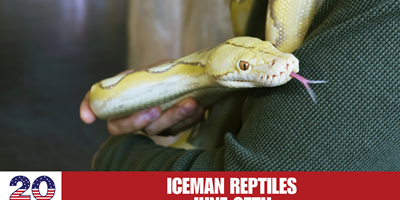 Iceman Reptiles
