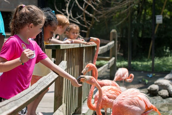 Sylvan Heights Bird Park
