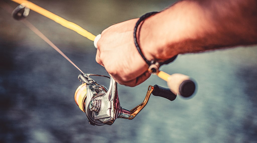 Lake Gaston Fishing 101
