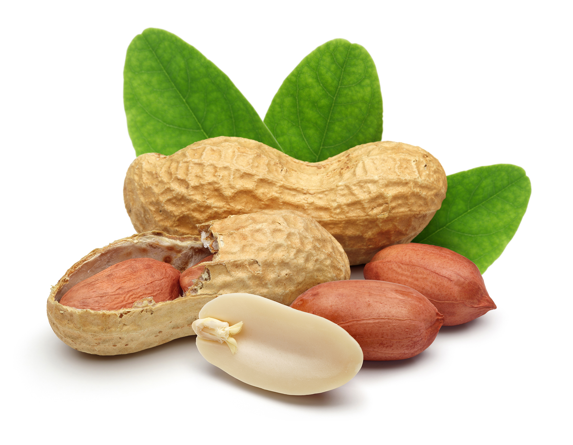 Virginia  Peanut Celebration Photo