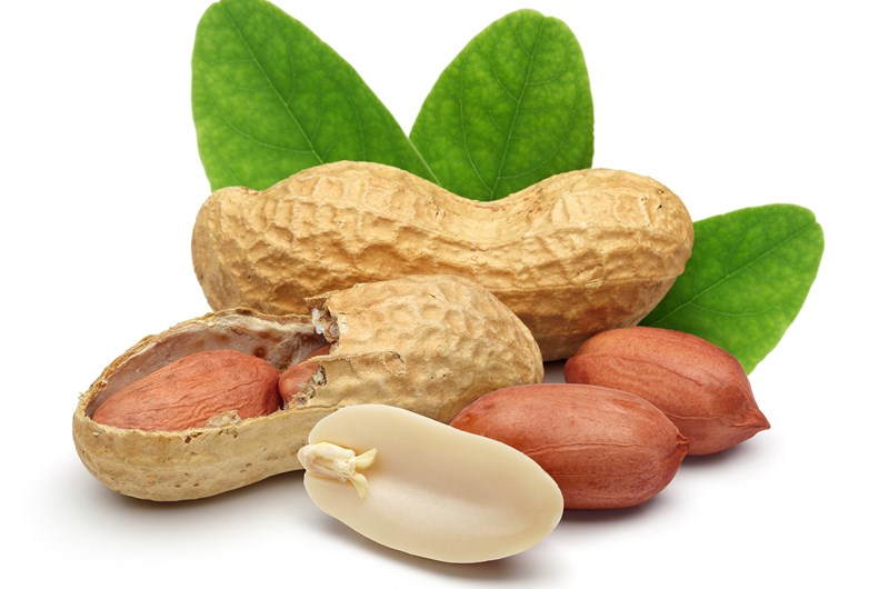 Virginia  Peanut Celebration Photo