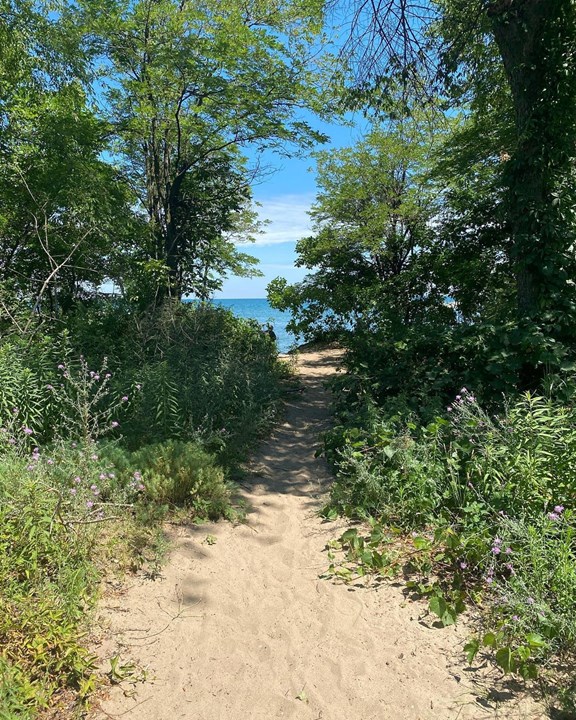 Five Great Places to Hike in Erie County