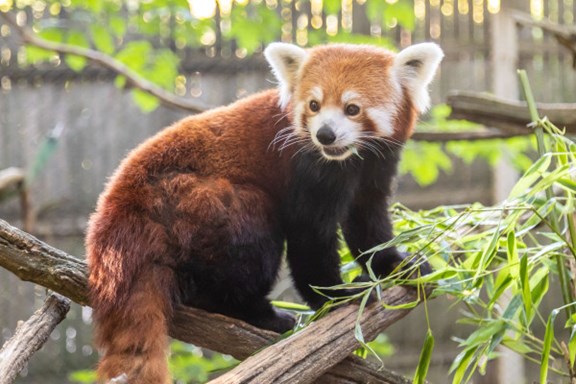 Erie Zoo & Botanical Gardens