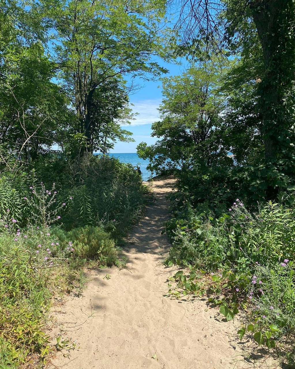 Five Great Places to Hike in Erie County