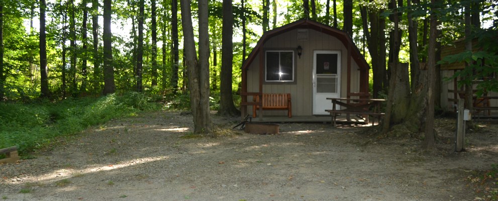 1-Room Value cabin in the back