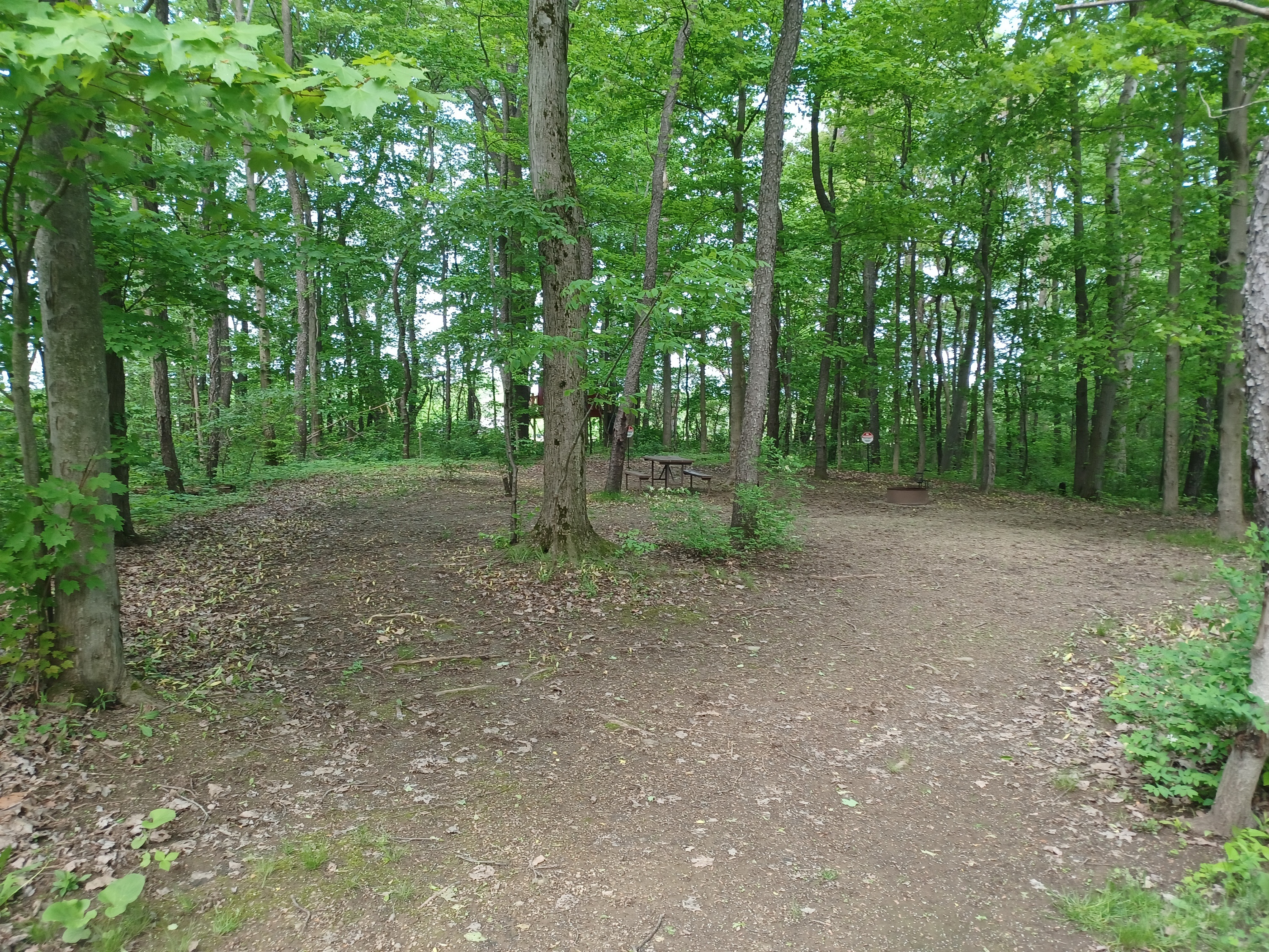 Site 133