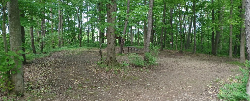 Site 133