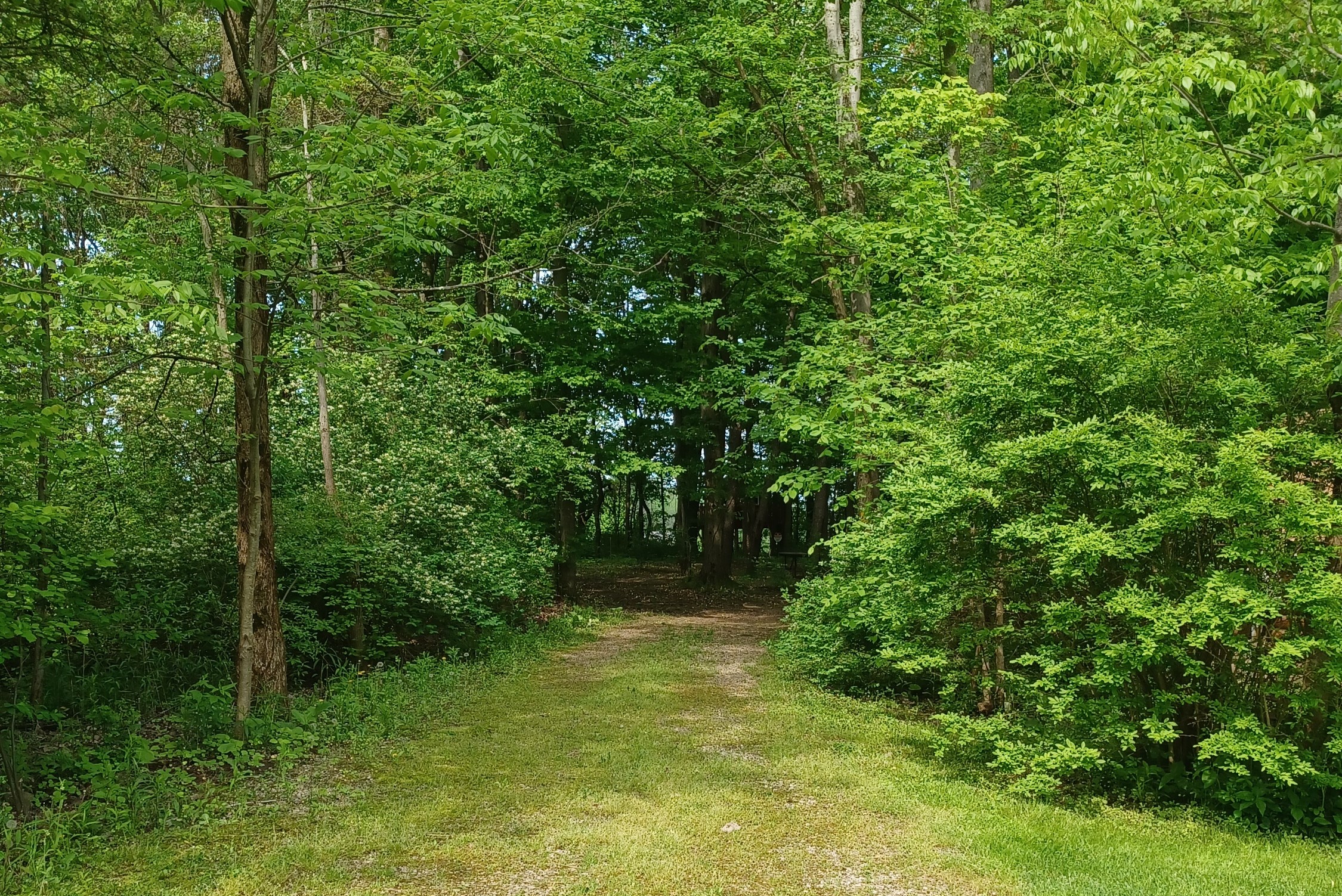 Site 133 entrance