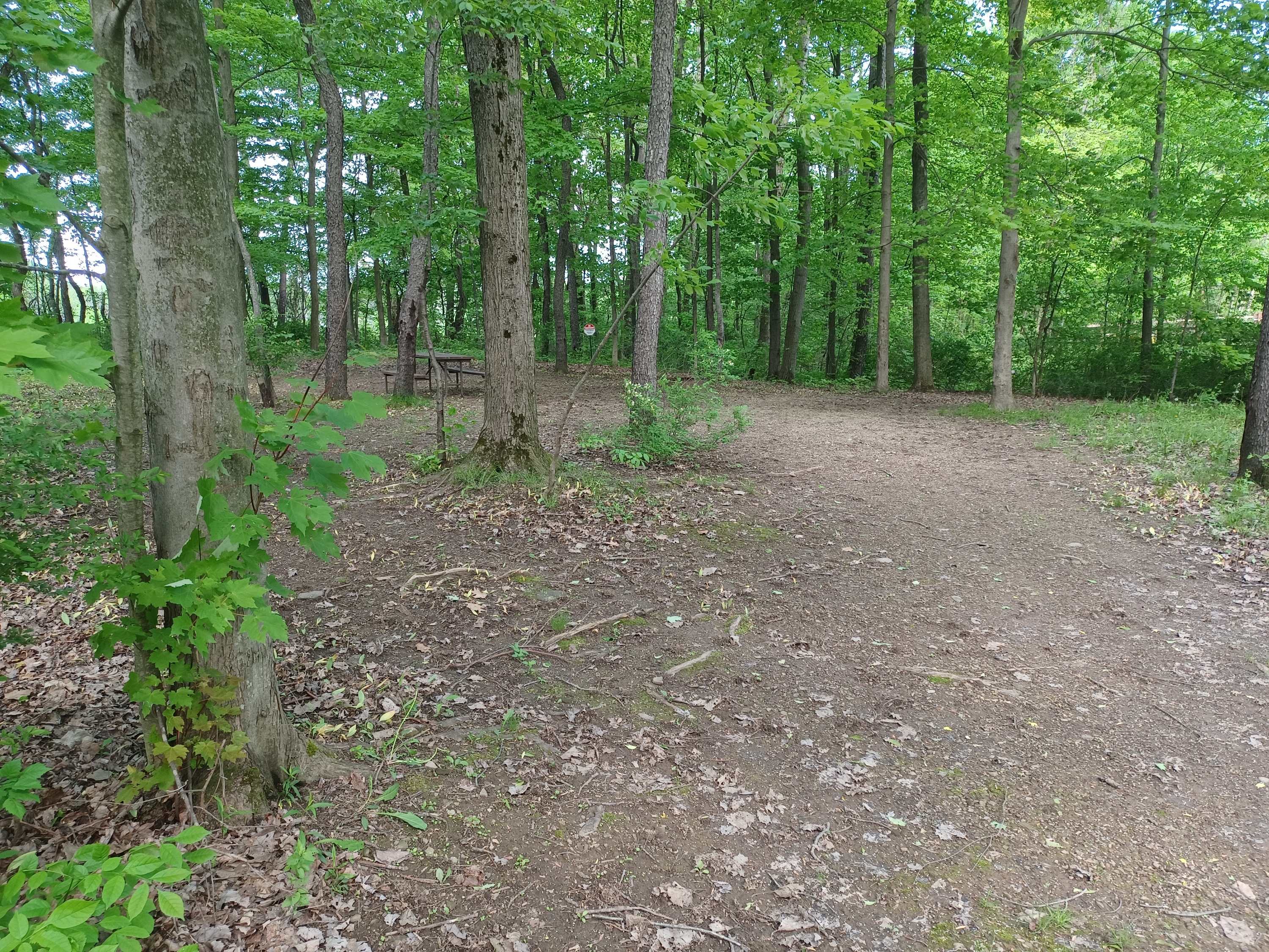 Site 133