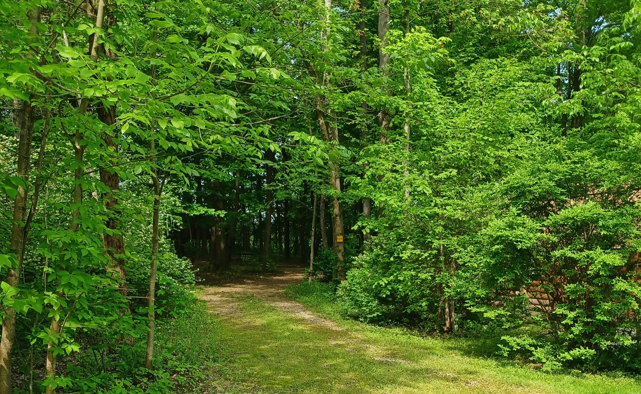 Site 133 entrance