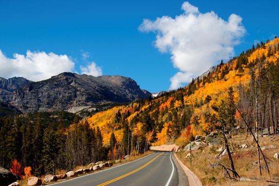 Autumn Colors