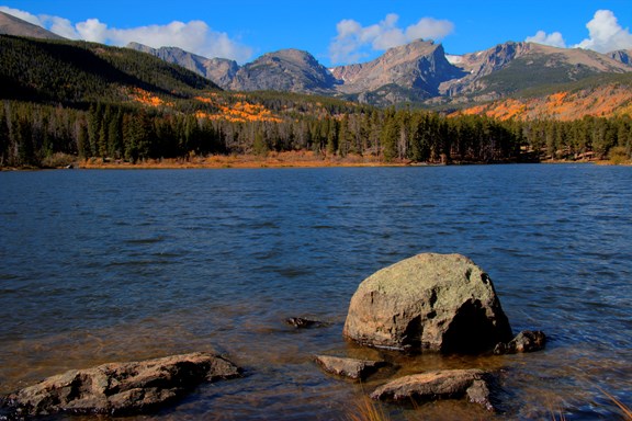 RMNP 1
