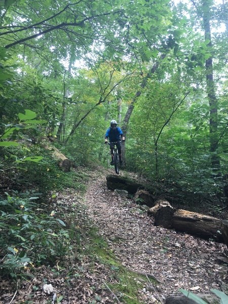 Mountain Biking