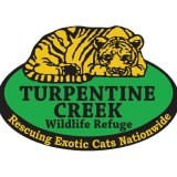 Turpentine Creek Wildlife Refuge