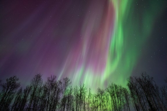 The Alaska Frontier: Covering The Unique Places, Sights, & Adventures Around Alaska