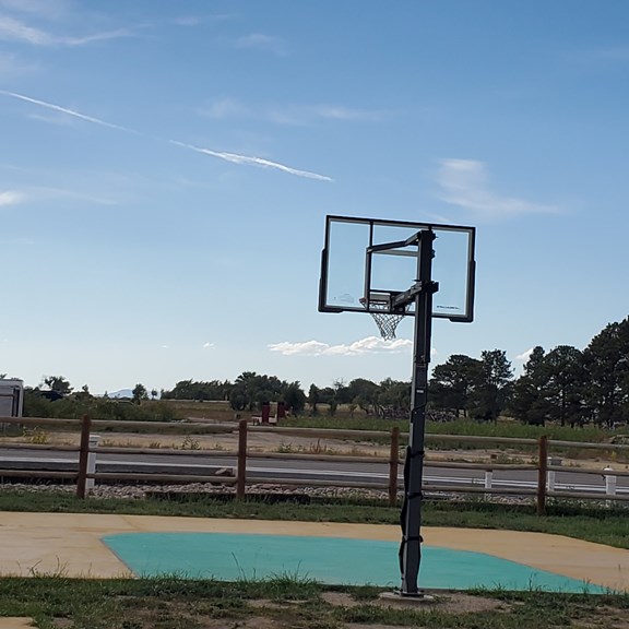 Basketball Court