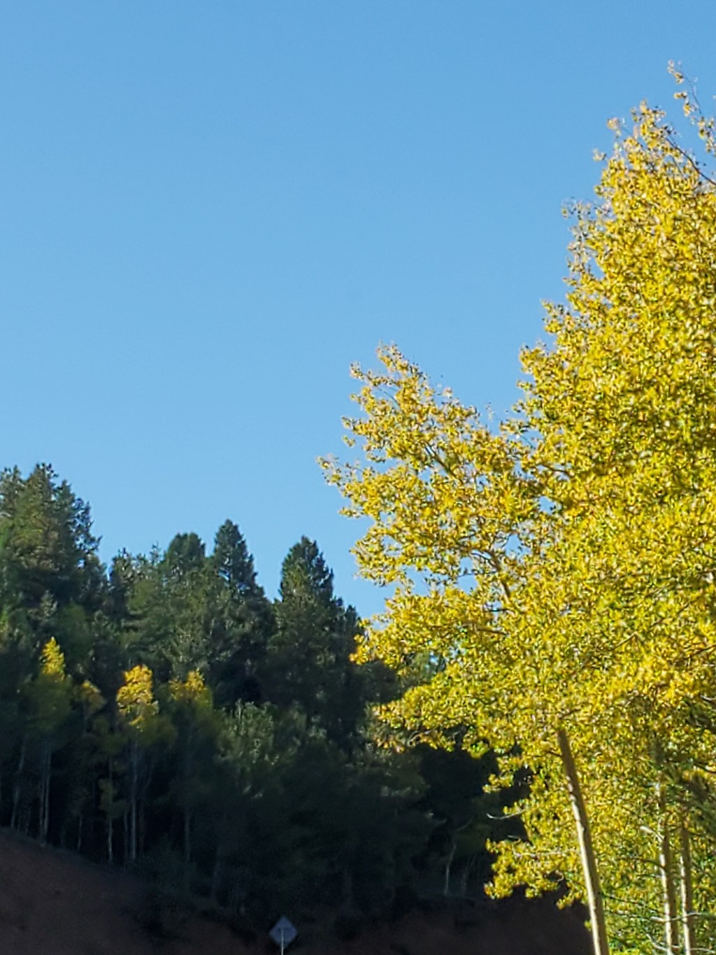Ute Pass/Woodland Park/Pikes Peak