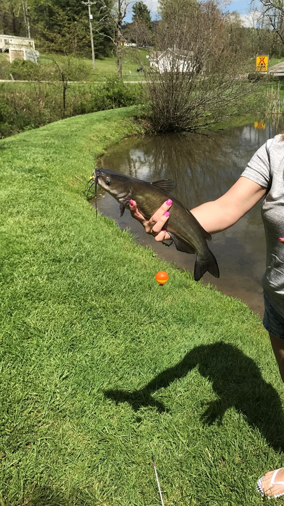 Father's Day Fishing Tournament
